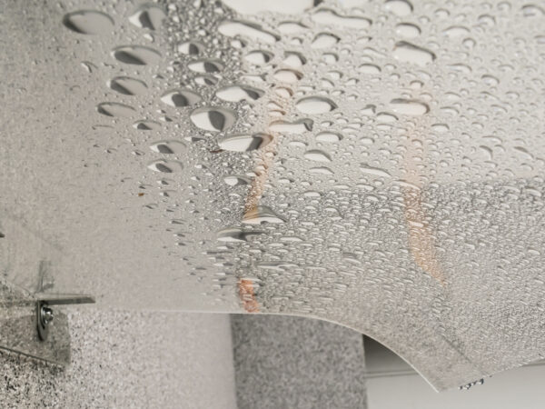 Wallbox-Überdachung Regenschutz Schutzdach